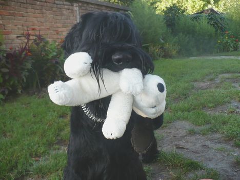 Snoopy-t loptam!