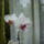 Dsc00155_1124119_8064_t