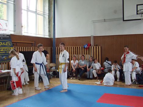 2011