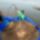 Giantstingraybluesheet4ga_1125992_7705_t