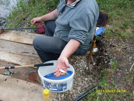horgászverseny 2011  05  01 én 014