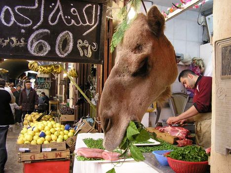 Marocco Fes Medina  Teve volt