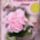 Sze9p16_1125705_2763_t