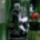 A_golkiralynak_1126386_3445_t