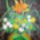 Egy_szal_tulipam_1126815_8817_t
