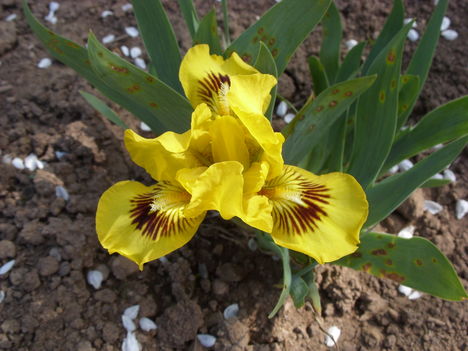 Tavasz 2011