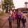 Vadaspark_10_1128541_4419_t