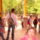 Vadaspark_21_1128518_5623_t
