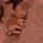 Vadaspark_34_1128553_7374_t
