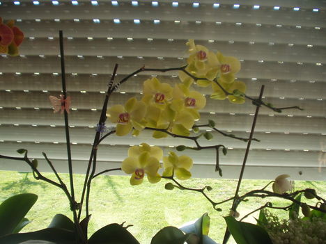 2011 május 5 4