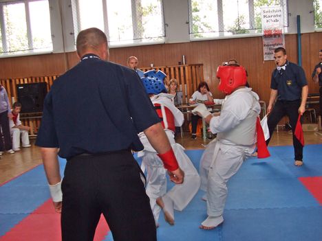 Ekecs 2011 4