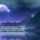 4505i_1102129_8204_t
