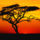 Acacia_tree_at_sunset_africa_1120403_5756_t