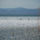 Balaton-003_112634_55239_t