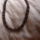 Dsc04017_1102278_9153_t