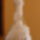 Dsc04021_1102279_4930_t