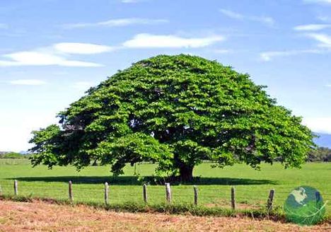 Guanacaste, Costa Rica