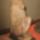Img_0927_1120995_8604_t
