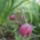 Kep_886_1102638_9073_t