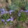 Klubvezeto_kepei_2-001_1102768_7200_t