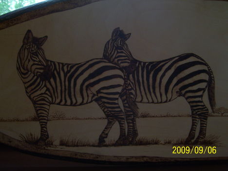 zebrák