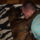 Boxos_1131826_6605_t