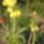 Csaszakorona_1131355_2890_t