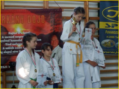 Karate,Bősárkány 027