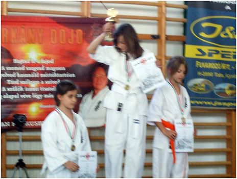 Karate,Bősárkány 036
