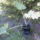 Sajat_002_1131223_6344_t