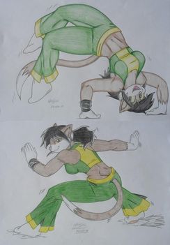 capoeira_kitty__by_drawing_4ever