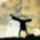 Capoeira_strings_by_tthel25_1132327_6645_t