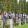 Dscf8728_magyar_szobrok_szaszregenben_1132075_4921_t
