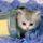 Kep9_1132292_3512_t