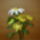 Margareta-003_1132794_9037_t