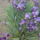Dsc02477_1133972_5545_t