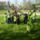 Fold_napja_1_1133771_4619_t