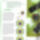 3896_0001_1135112_7539_t