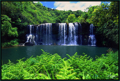a-15-secluded-falls-web-lg