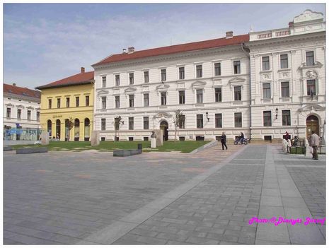 DSCF2918