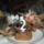 Dscf7362_1135716_3438_t