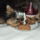 Dscf7367_1135712_2549_t