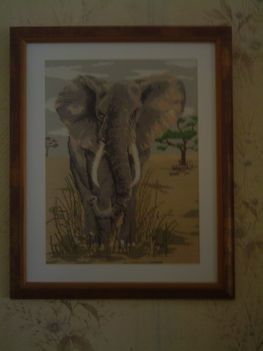 PICT0021 afrikai elefánt /tű