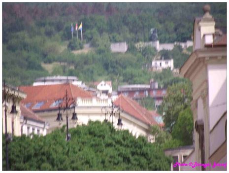 DSCF2931