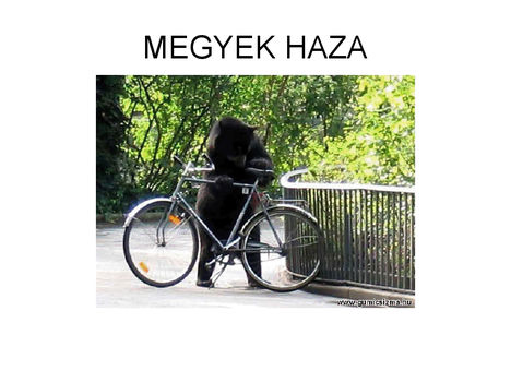 MEGYEK HAZA