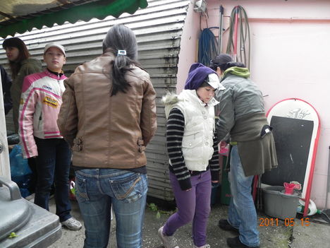 DSCN5146