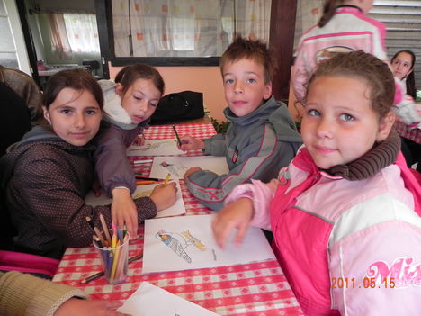 DSCN5153