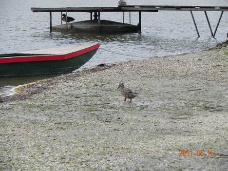 DSCN5173
