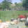 S3000049_1137609_1180_t