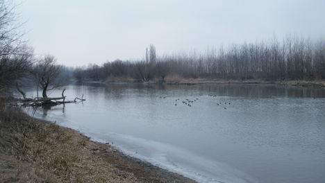 Duna-Dunaszentpálnál 9